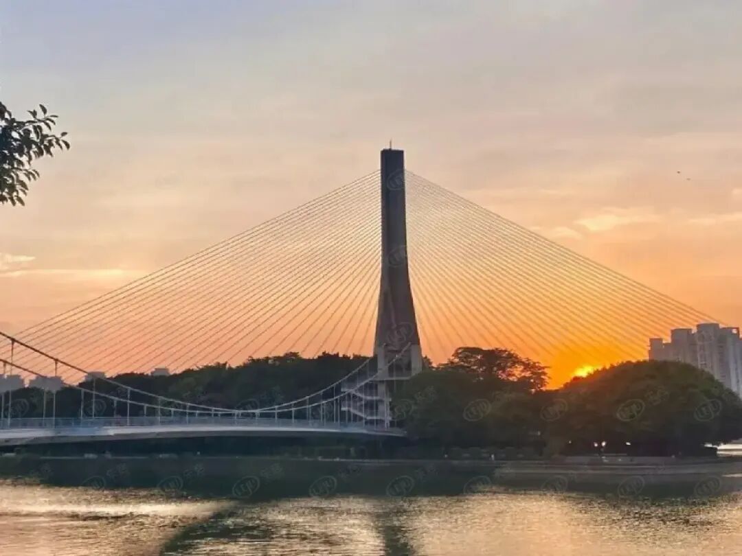 周边配套-江心公园