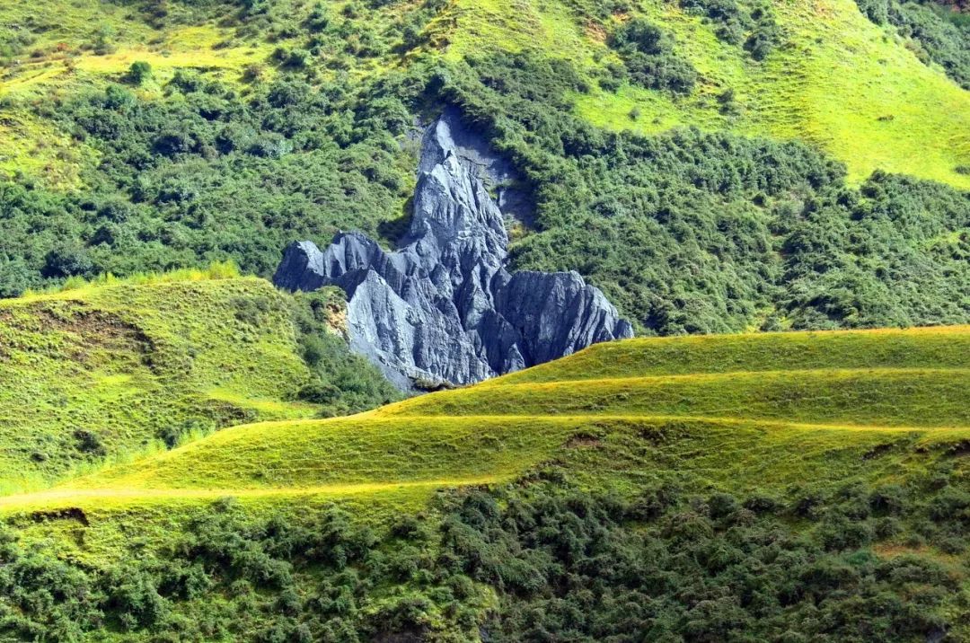 有生之年，你一定要去一次川西！因為西藏太遠，川西很近！ 旅遊 第22張