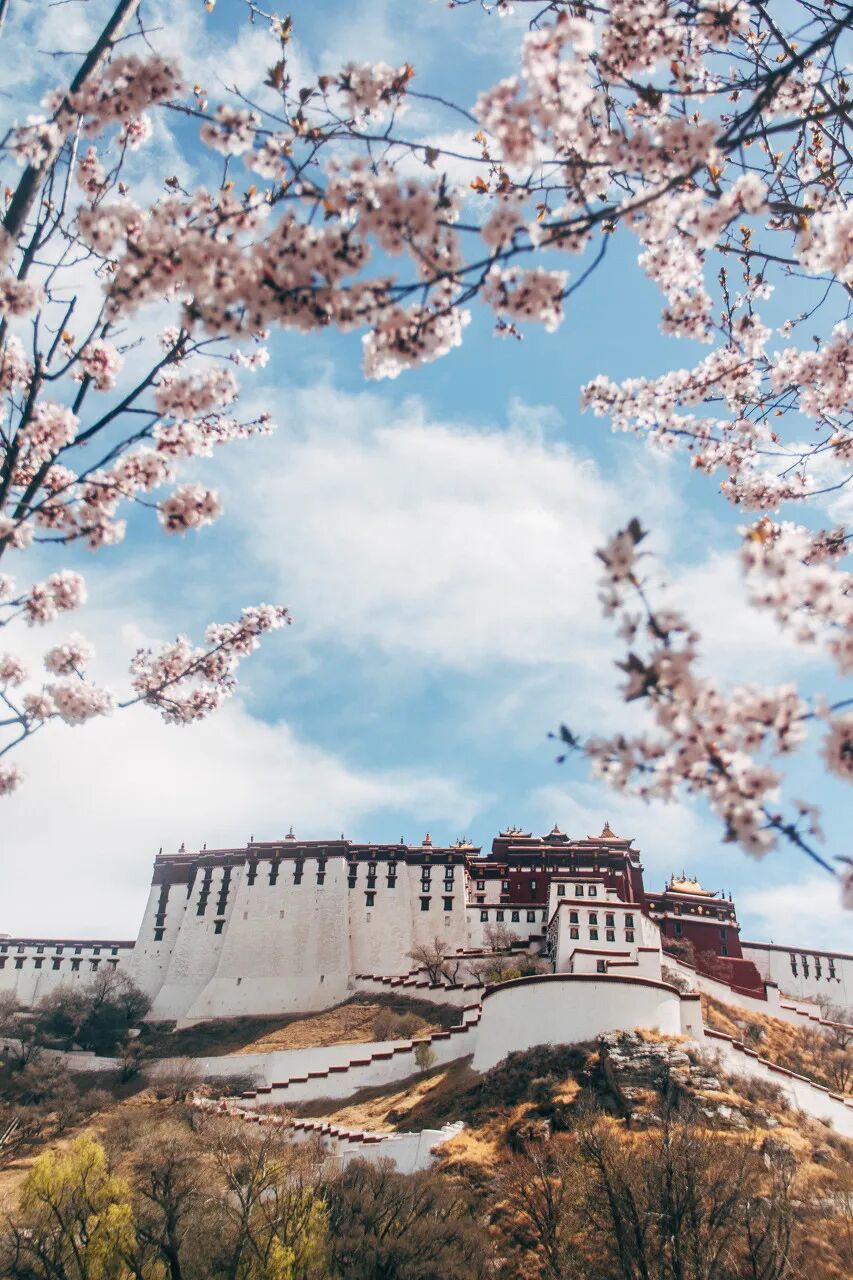 忽然 就想去西藏了 微英语口语 微信公众号文章阅读 Wemp