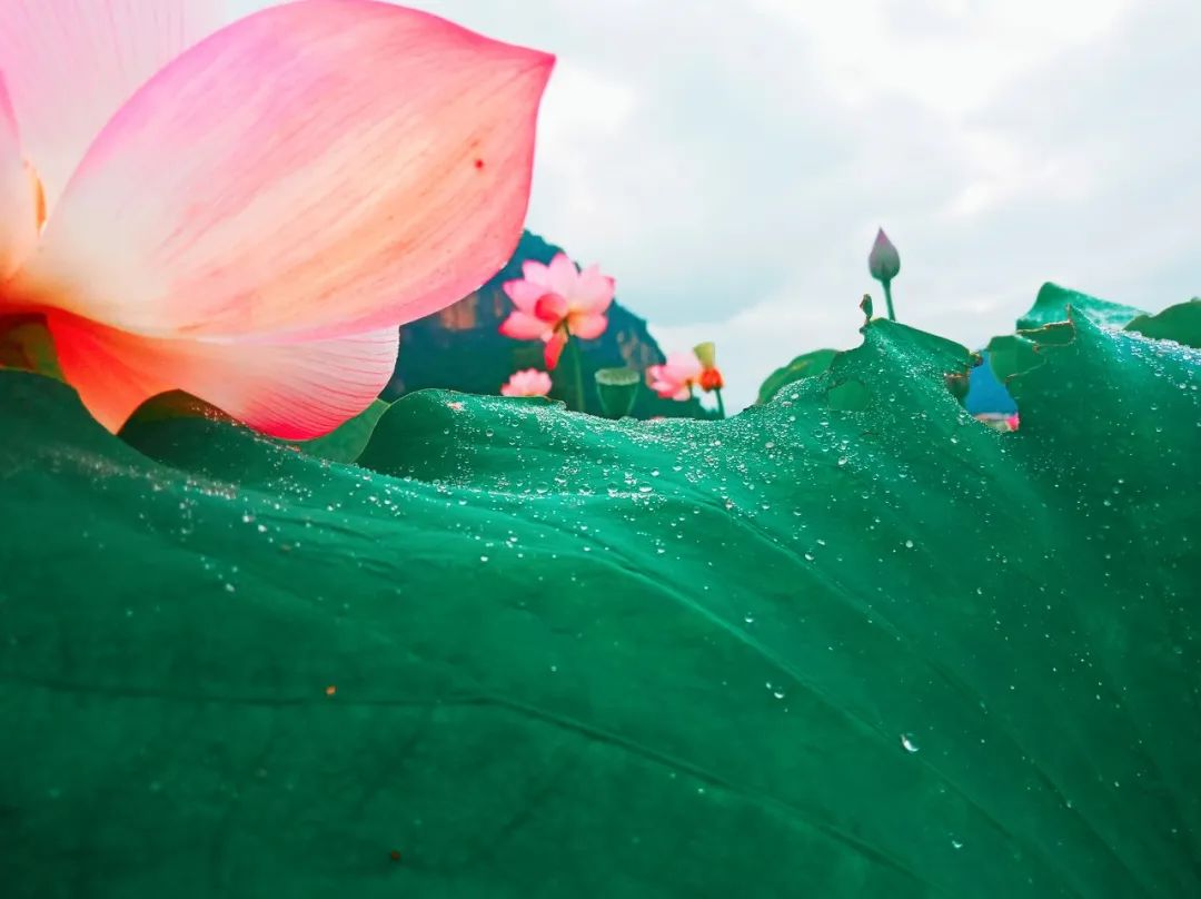 8月最佳旅行地推薦 | 國內最美的10個地方，每一個都美到窒息！ 旅遊 第6張