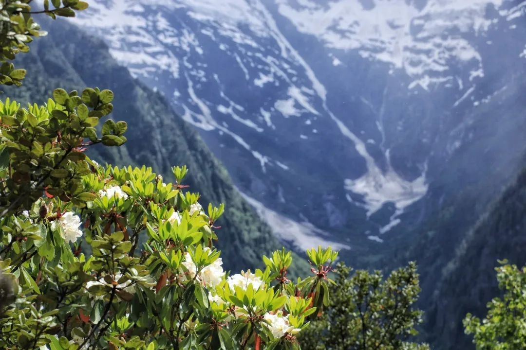 8月最佳旅行地推薦 | 國內最美的10個地方，每一個都美到窒息！ 旅遊 第36張