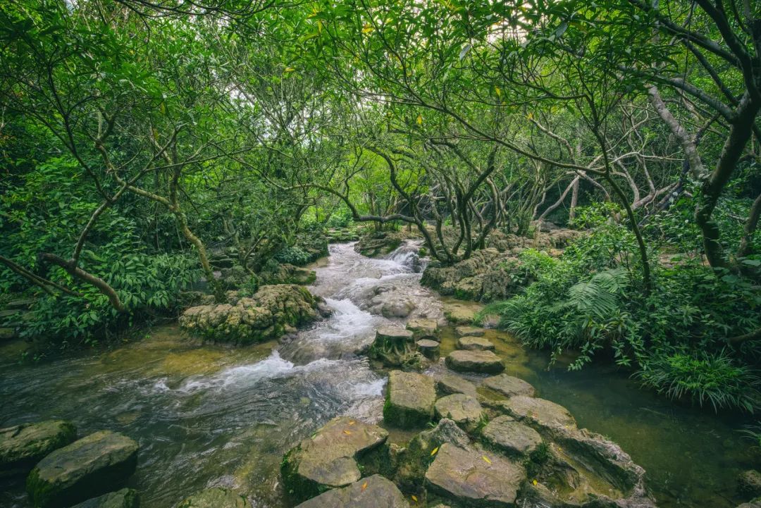 8月最佳旅行地推薦 | 國內最美的10個地方，每一個都美到窒息！ 旅遊 第26張