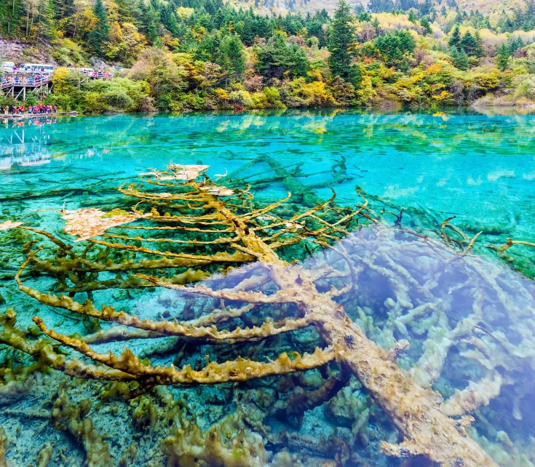 8月最佳旅行地推薦 | 國內最美的10個地方，每一個都美到窒息！ 旅遊 第33張