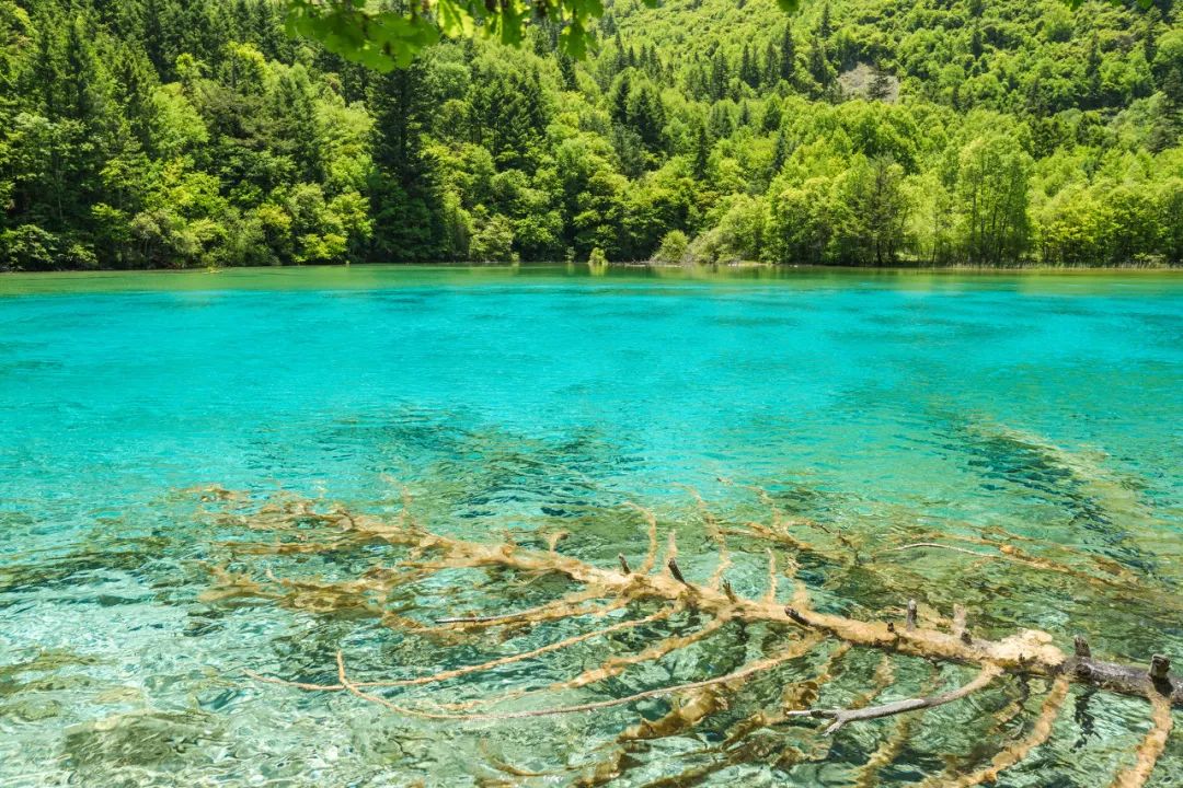 8月最佳旅行地推薦 | 國內最美的10個地方，每一個都美到窒息！ 旅遊 第31張