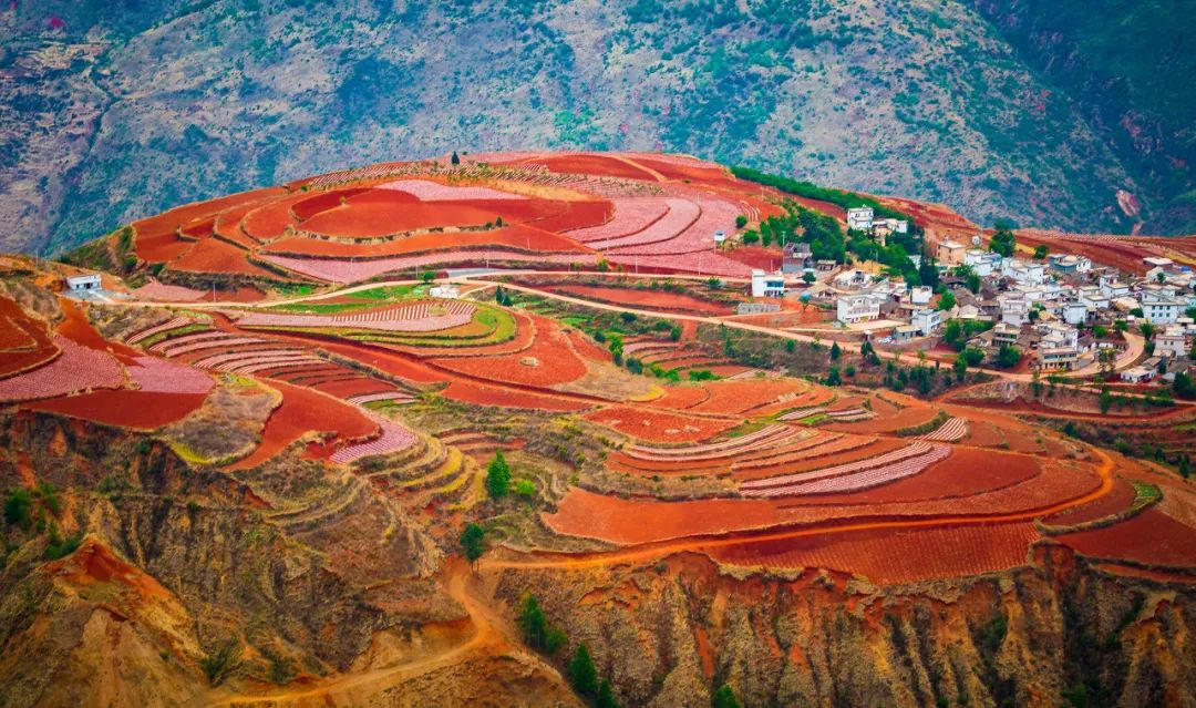 敦煌，一個正在死去的地方…… 旅遊 第26張