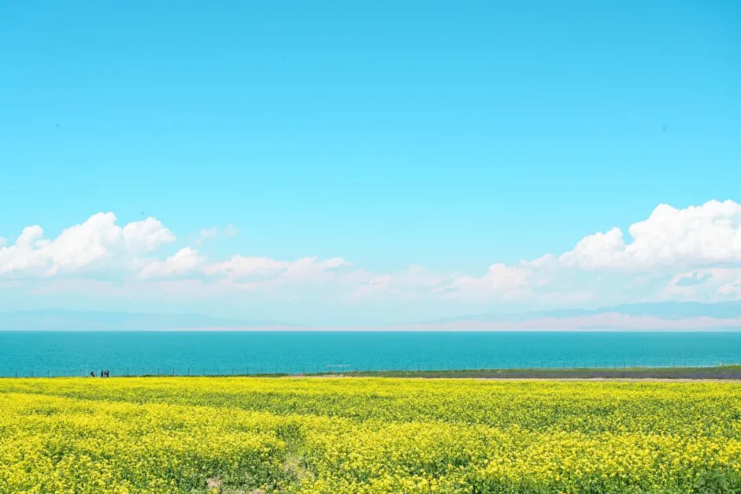 敦煌，一個正在死去的地方…… 旅遊 第29張