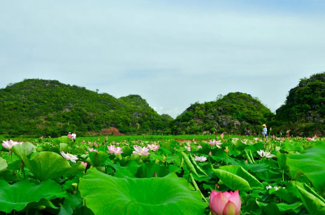 8月，我想去這八個地方。 旅遊 第32張