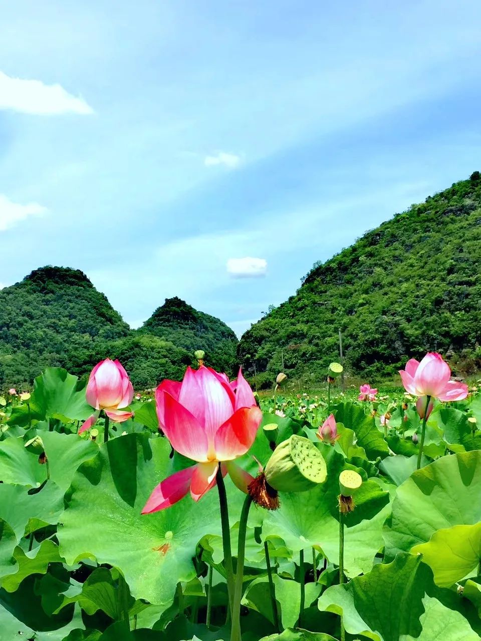 8月，我想去這八個地方。 旅遊 第34張