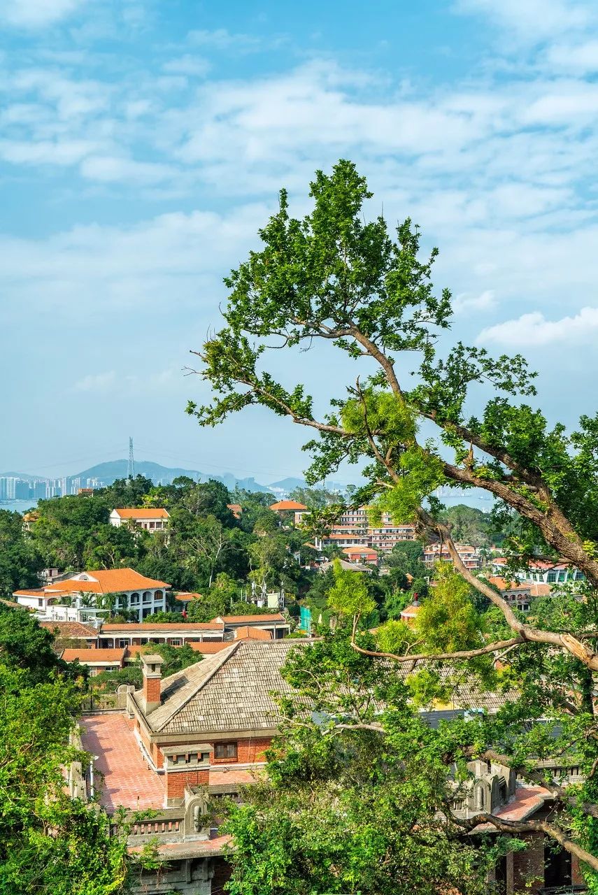 旅行不是濟世良藥，但它是一片阿司匹林 旅遊 第10張