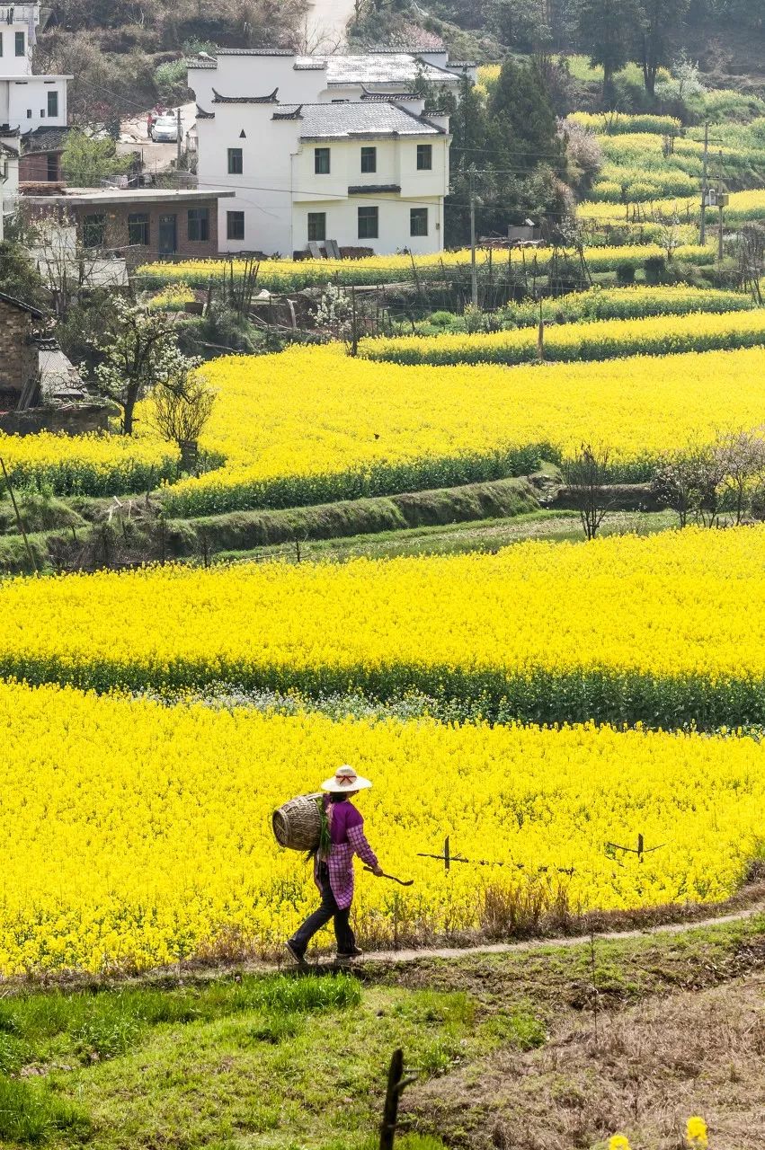 旅行不是濟世良藥，但它是一片阿司匹林 旅遊 第21張