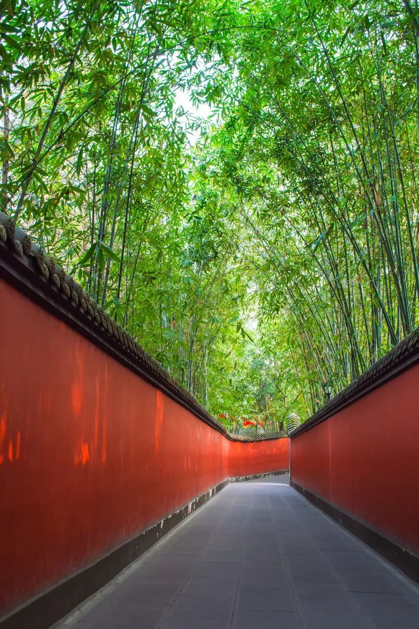 終於！中國第一條旅遊高鐵正式通車！穿過400餘個4A級以上景區，此生不去心不安 旅遊 第14張