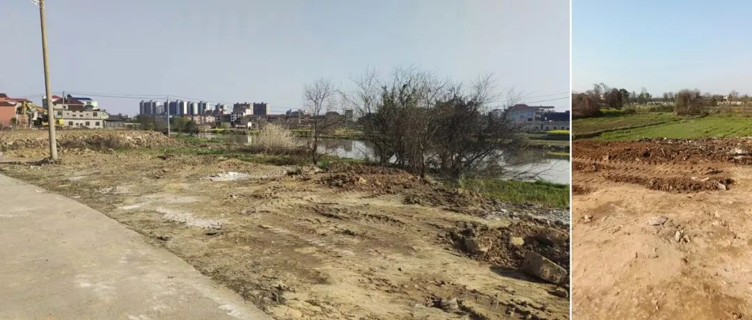 守护碧水清流  共建美丽家园 ——柴埠口管理站多方联动解决河道垃圾治理难题