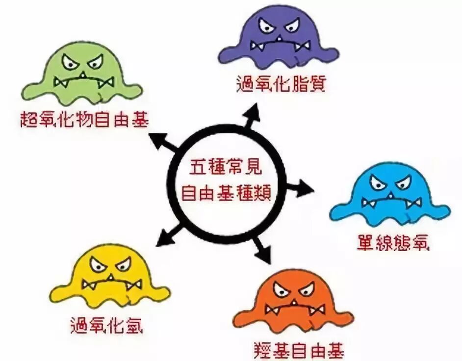 沙棘原花青素——有这6大功效！