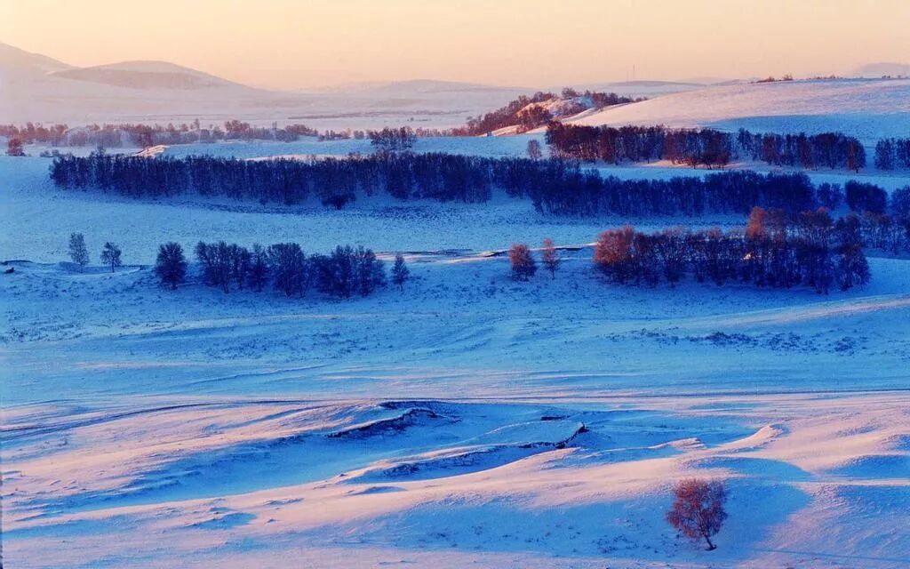 明天小雪：节气后要这样养生！早知道早健康