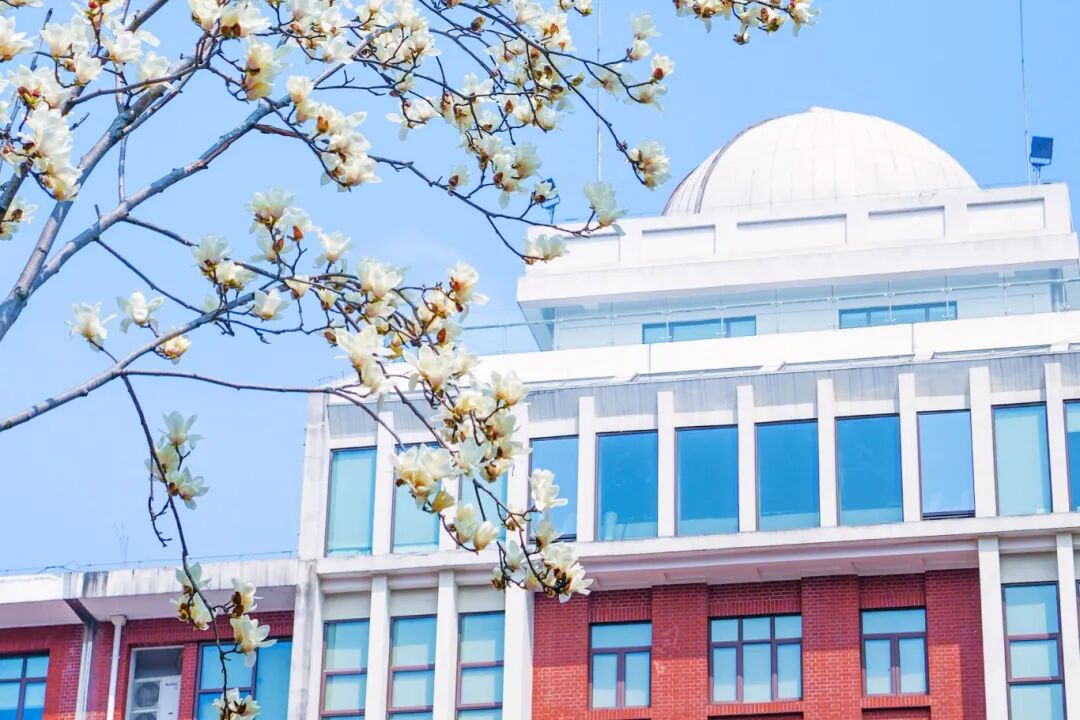 木兰花牛虹力 (11).jpg