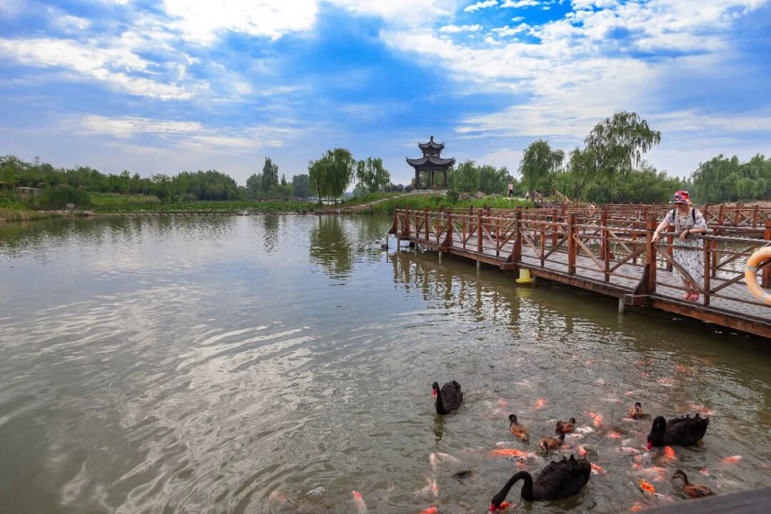 初夏游台儿庄双龙湖观鸟园不负五月好时光
