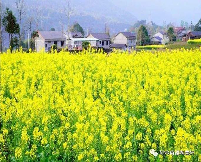 徐志摩陌上花开朗读视频_陌上花开徐志摩原文_徐志摩陌上花开写给谁的