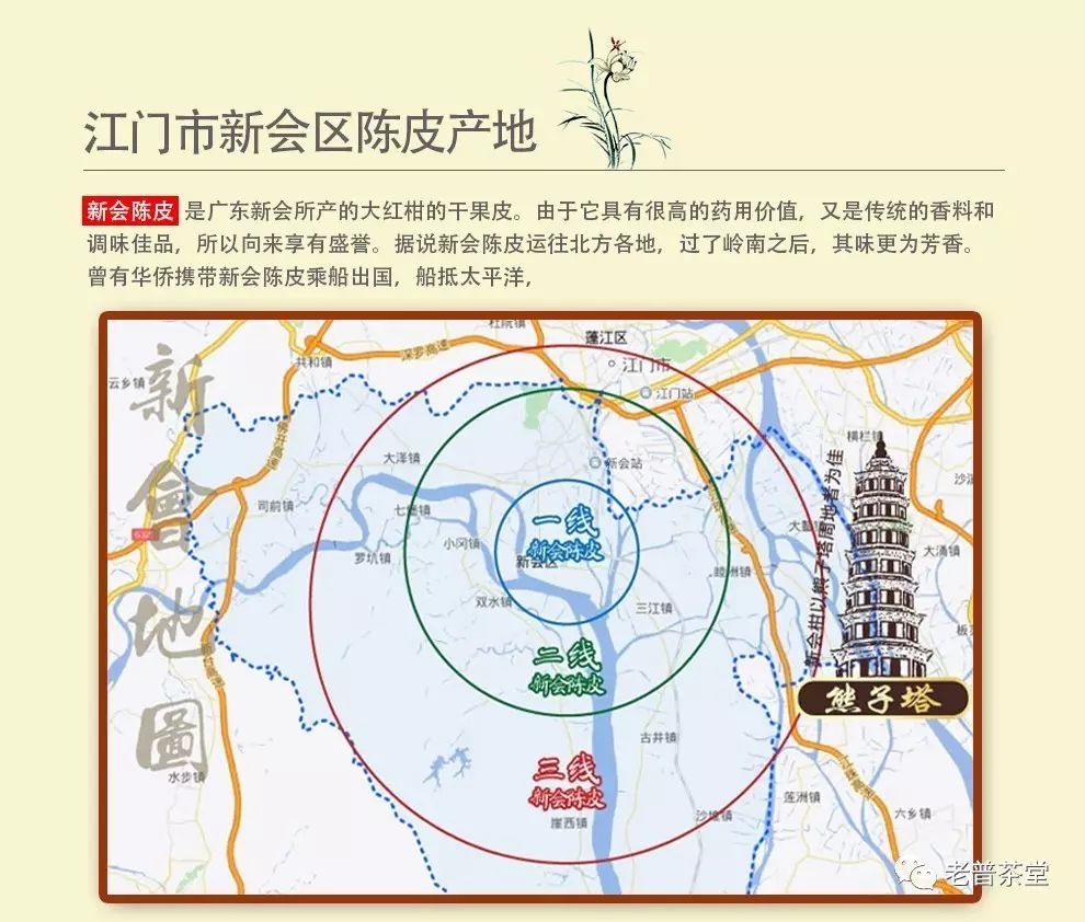 柑的產地,新會核心產區:天馬陳皮普洱茶是五邑特產之一,精選具有