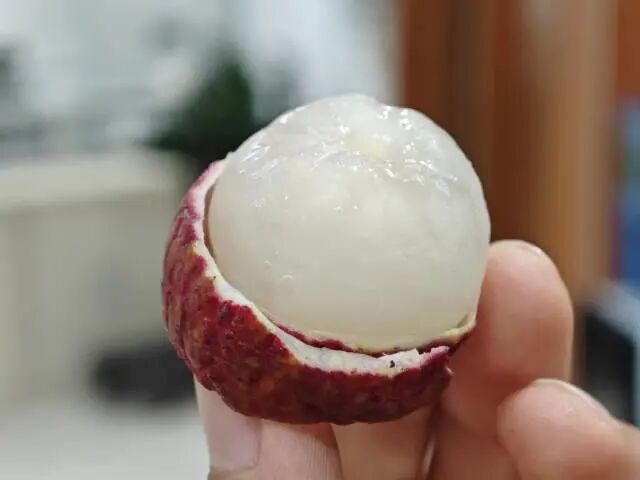 解冻后的“仙进奉”冻眠荔枝。