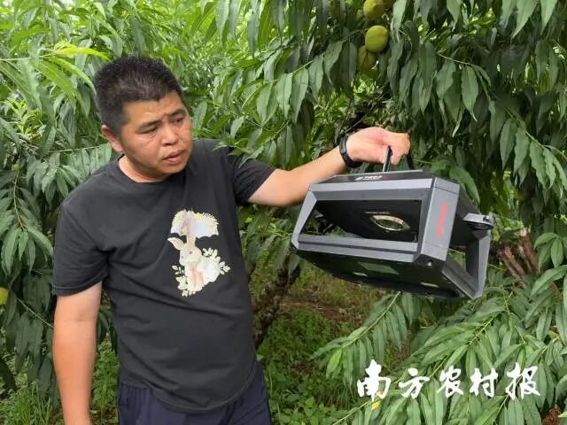 基因組所研發的便捷式性誘蟲情測報儀能夠自動識別害蟲種類并傳送到農戶手機上。