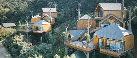 【民宿设计】木屋系列之疗愈林居、溪谷竹海、巢居树屋