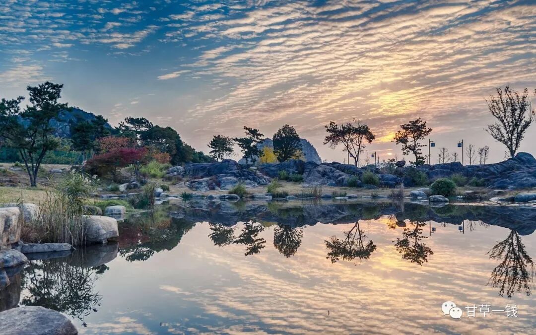 小柴胡汤也能治失眠