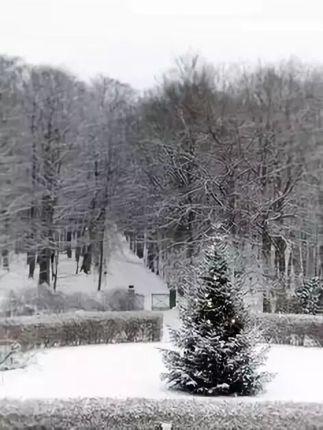 冬天是花园沉睡的季节 那你就错了 生活家 生活资讯 生活315 生活指南 生活品位 微信头条新闻公众号文章收集网