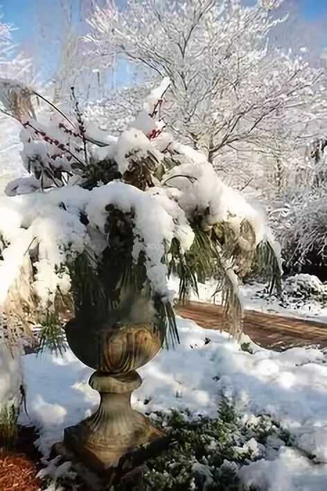 冬天是花园沉睡的季节 那你就错了 生活家 生活资讯 生活315 生活指南 生活品位 微信头条新闻公众号文章收集网