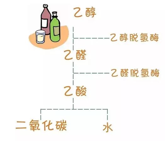 一喝酒就脸红？