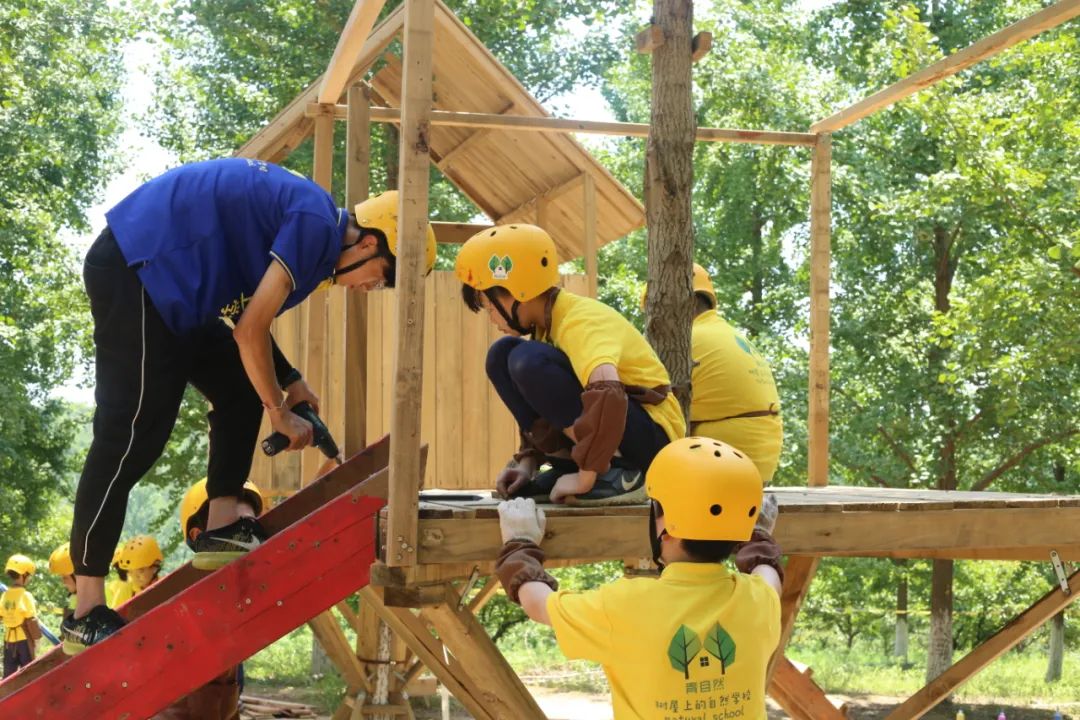 森林建造師夏令營丨3天搭建樹屋城堡4年3000個孩子圓夢領券立減300元