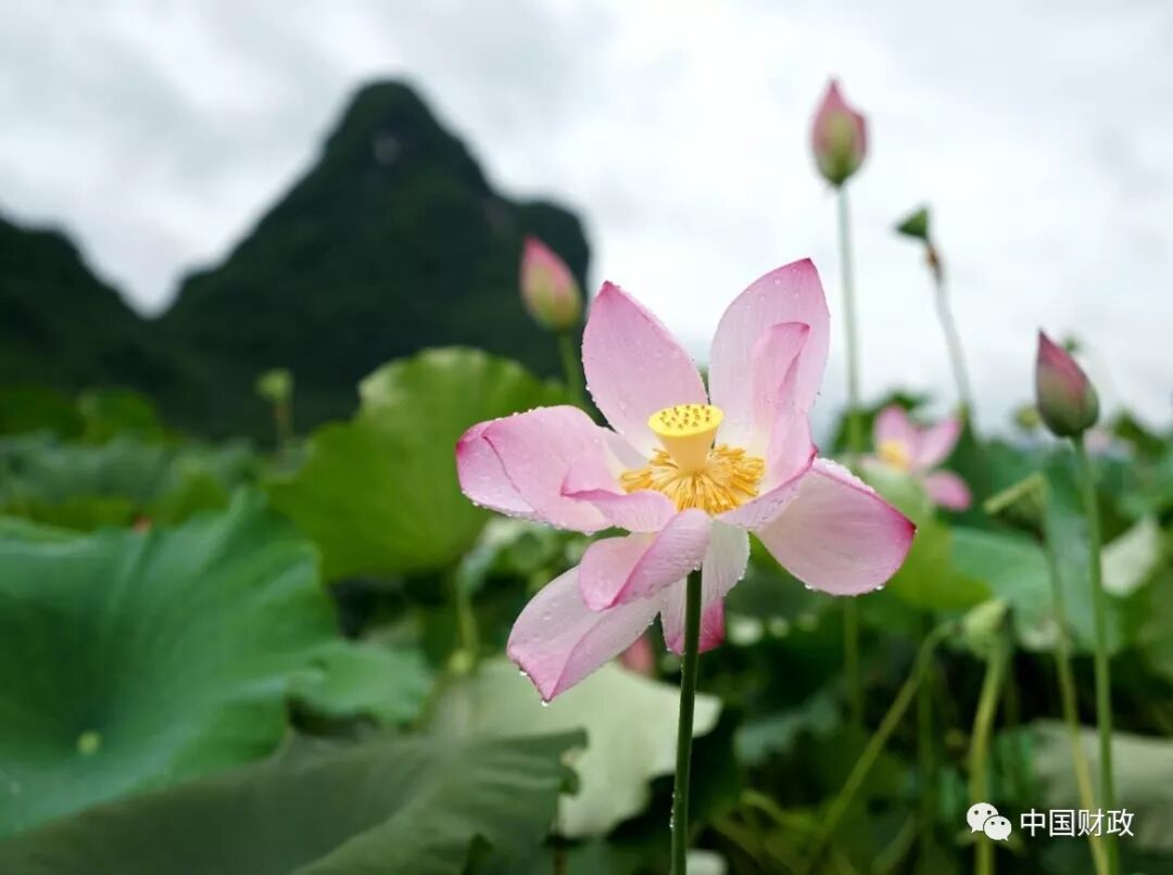 事业单位财务规则 会计继续教育_财务部会计评价中心_财务中心和财务公司的区别