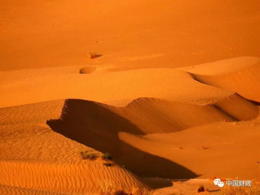 财务中心和财务公司的区别_事业单位财务规则 会计继续教育_财务部会计评价中心