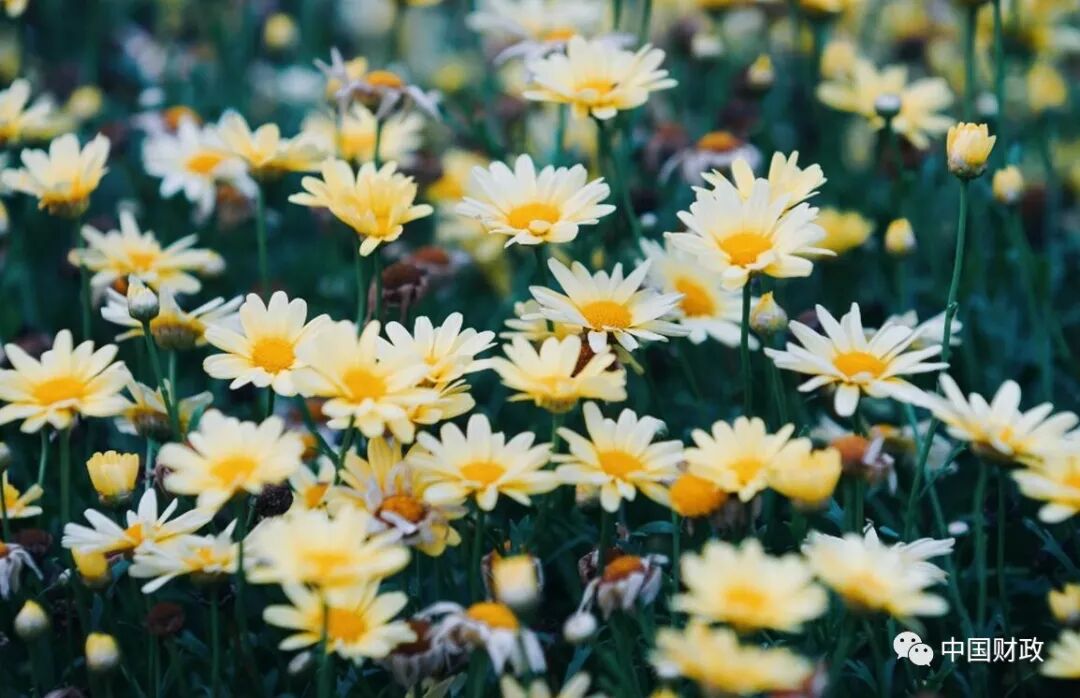 事业单位财务规则 会计继续教育_财务中心和财务公司的区别_财务部会计评价中心