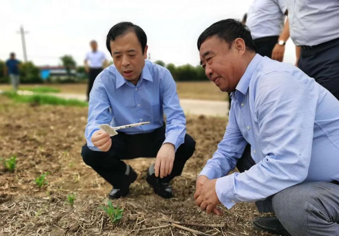 中国电信陕西网厅官网_四川省财政会计网官网_安徽财政厅官网