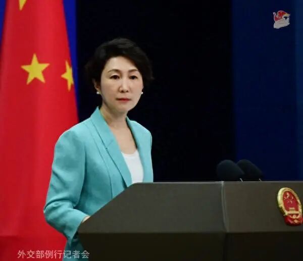 毛宁资料图。图源：外交部网站