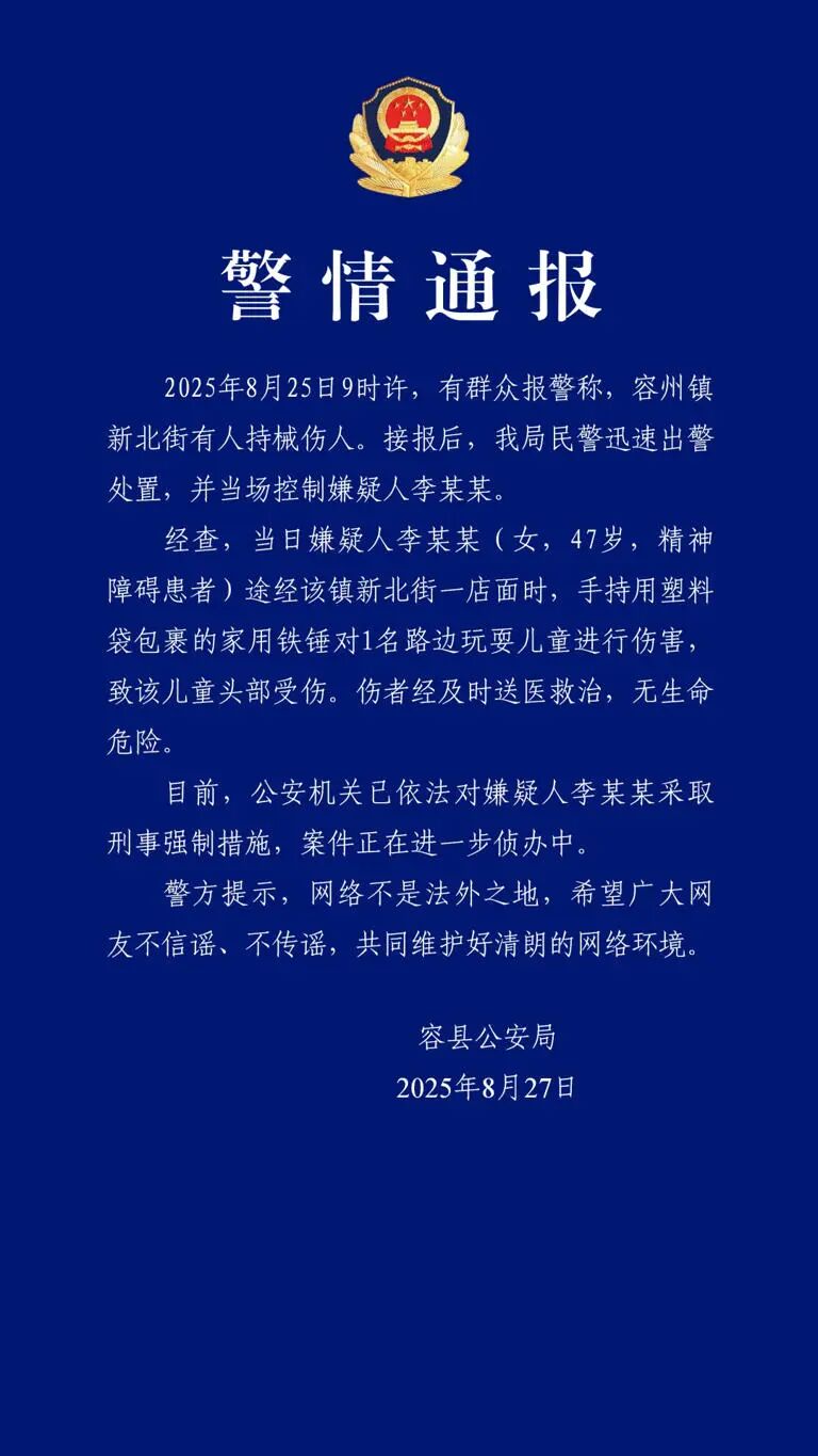 女子用铁锤砸伤男童，警方通报