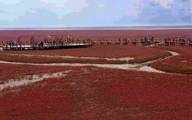 中國最美六大沼澤濕地~ 旅遊 第28張