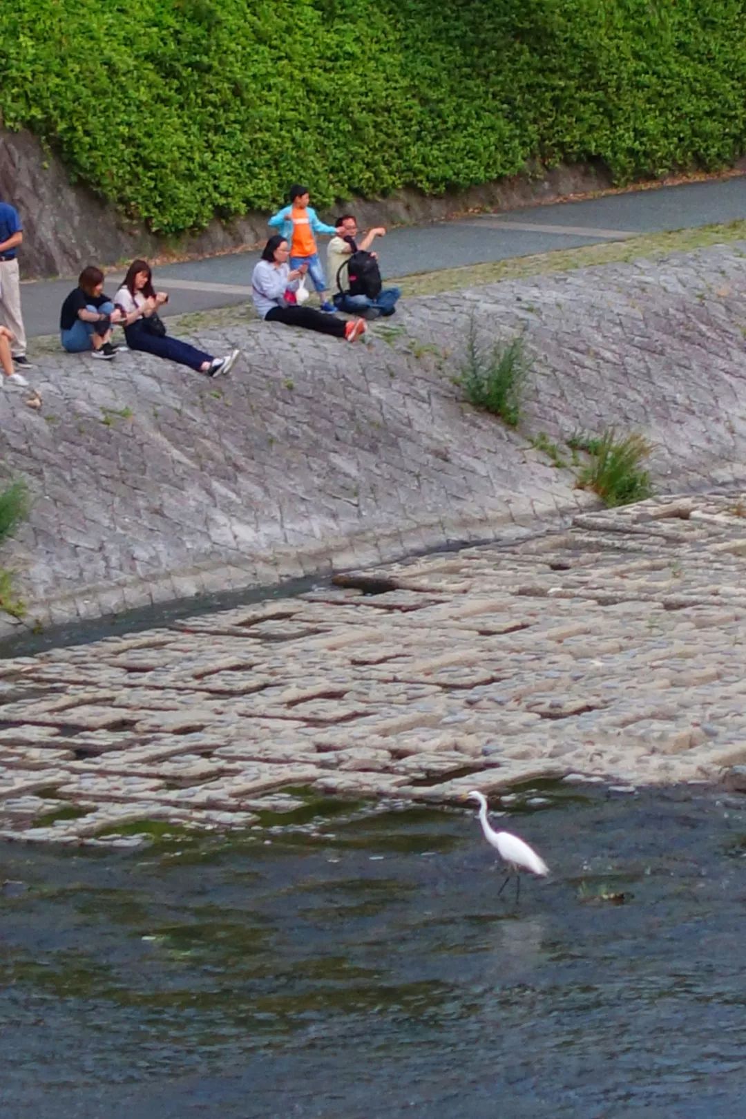 和小强一起旅行 夏逐青溪水 日本京都贵船神社川床料理 何小强设计 微信公众号文章阅读 Wemp