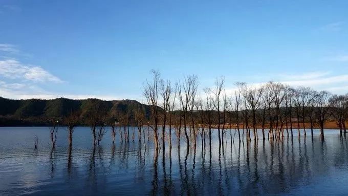 2019，不求走遍全中國，但求走遍雲南這30個美麗的地方 旅遊 第9張