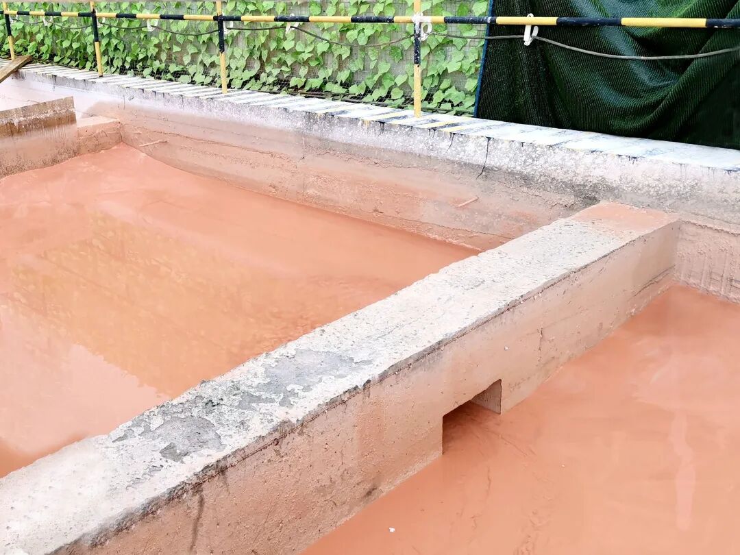 日处理污水1.5万吨，“超级净水器”来了！