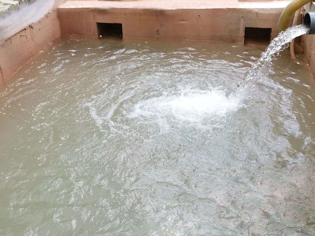 日处理污水1.5万吨，“超级净水器”来了！