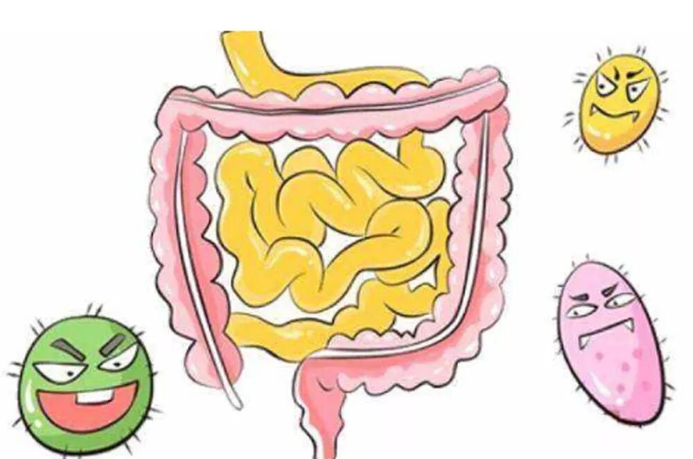 结肠水疗仪怎么用大肠水疗，给您的肠子“洗洗澡”_https://www.jmylbn.com_新闻资讯_第1张