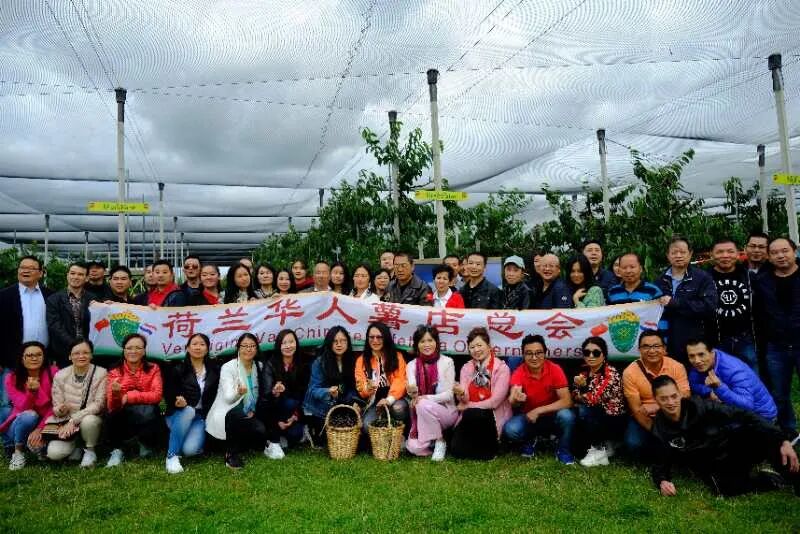 Vcco 乐观面迎疫情 不忘携眷同游 荷兰华人薯店总会今年亲子活动摘樱桃