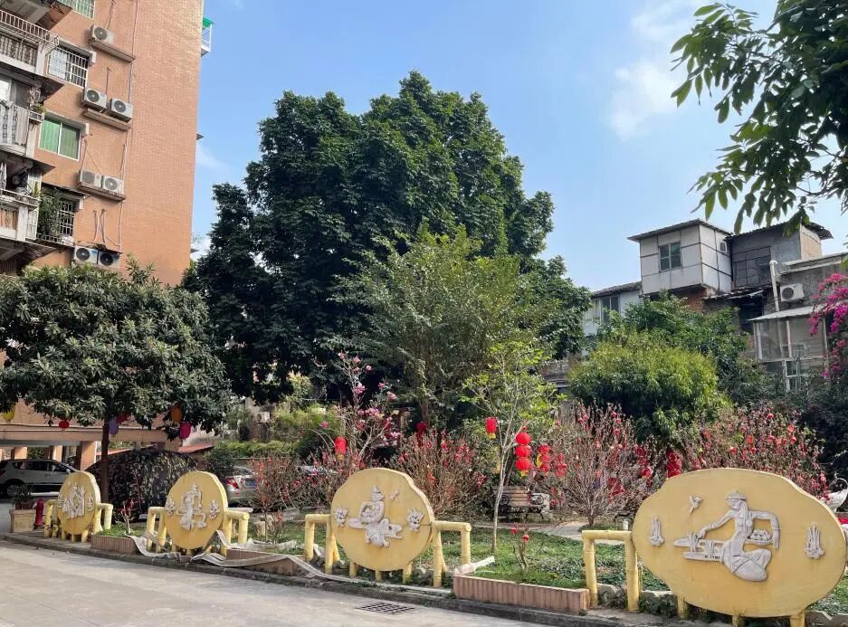 小区环境越来越靓丽