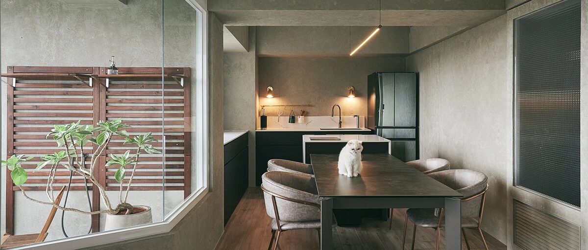 76㎡人猫共居小屋，这就叫设计师范儿！