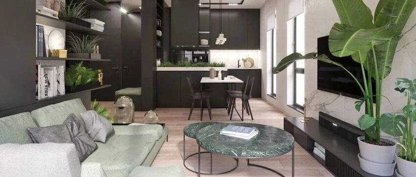 53平单身住宅，一张灰绿沙发，为客厅增添色彩！