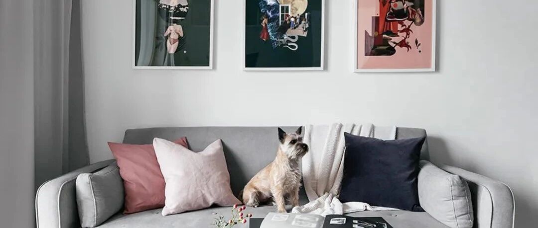 这2套单身公寓，是我见过最具美感的极简风！