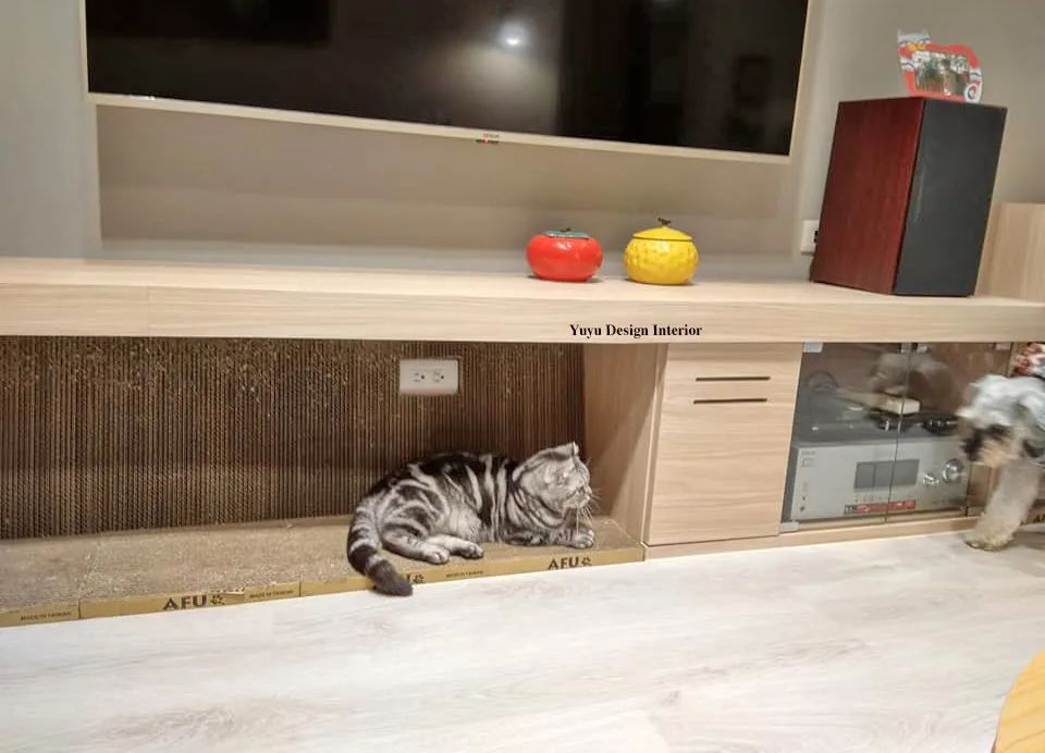 82.5㎡原木猫屋,7猫1狗住5口,还能放进去2个好朋友-微信头条网 82.5㎡原木猫屋,7猫1狗住5口,还能放进去2个好朋友