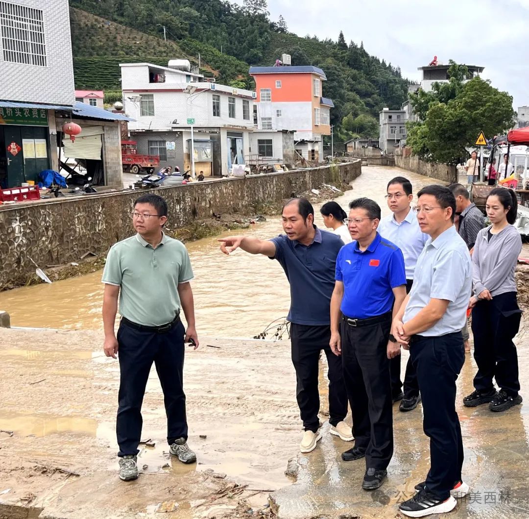 远到古障镇检查指导灾后恢复重建工作 