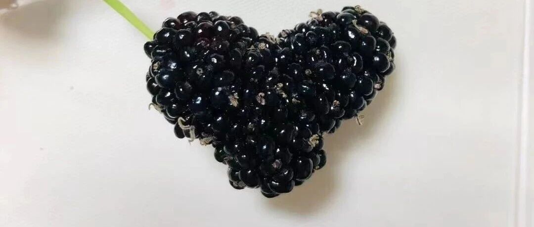 用心做一罐果酱，封存春风与美味